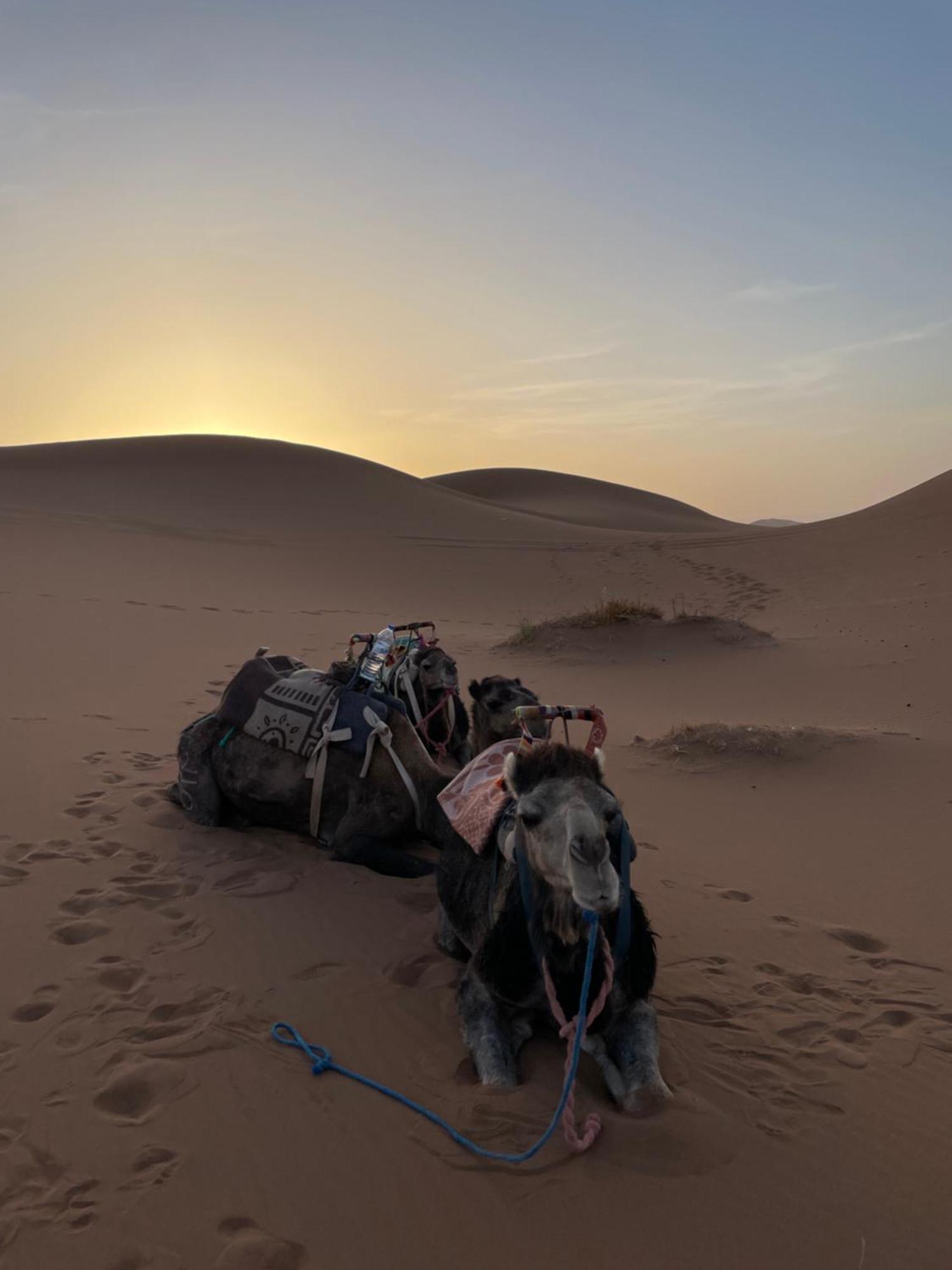 Dar Toda - Zagora Guest House エクステリア 写真