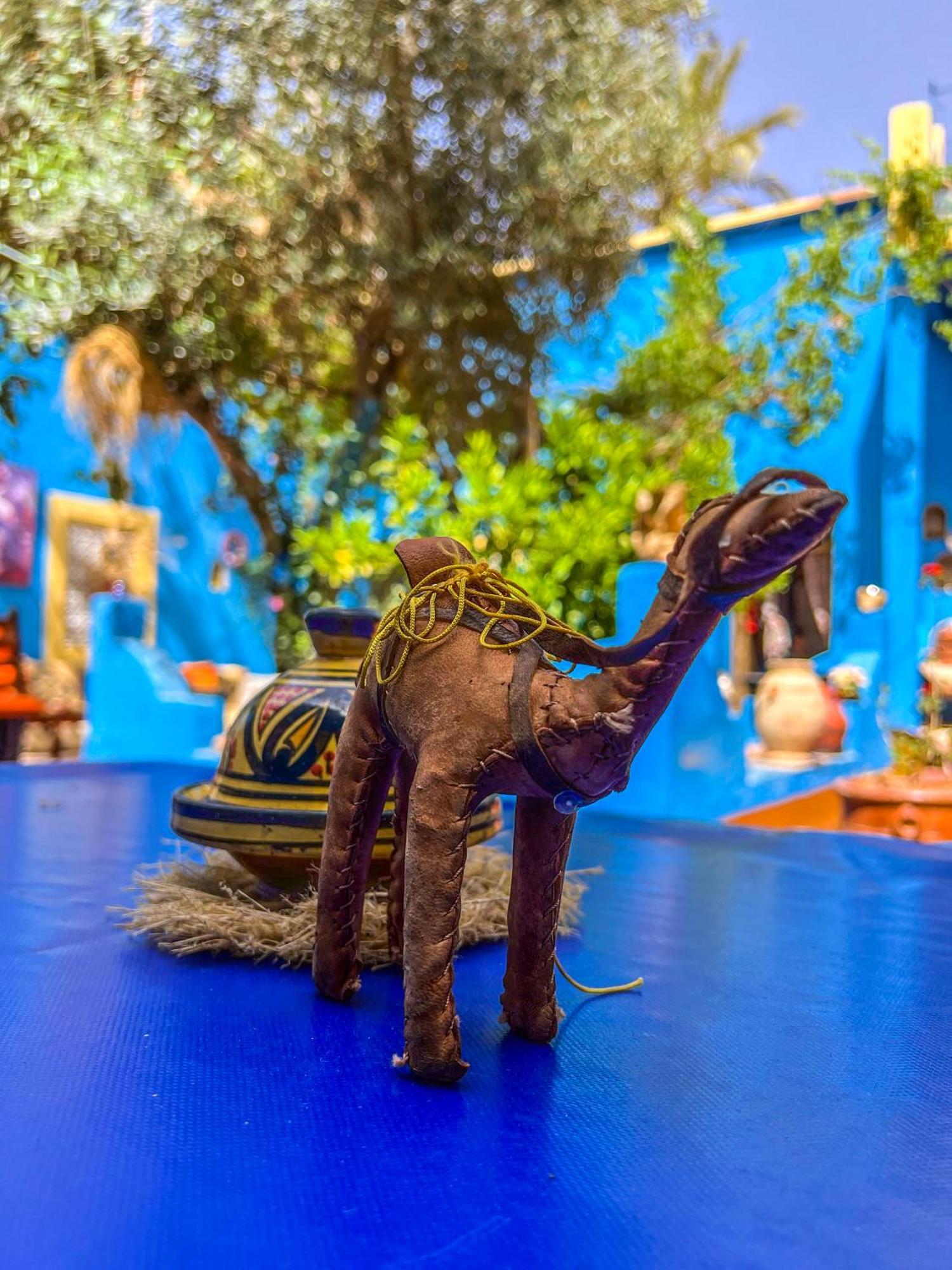 Dar Toda - Zagora Guest House エクステリア 写真